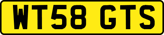 WT58GTS