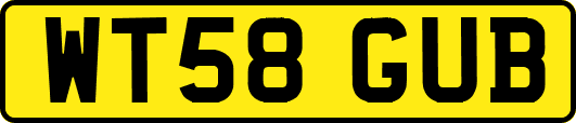 WT58GUB