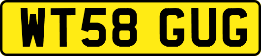 WT58GUG