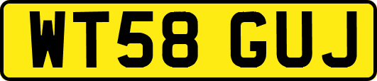 WT58GUJ