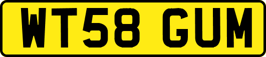 WT58GUM