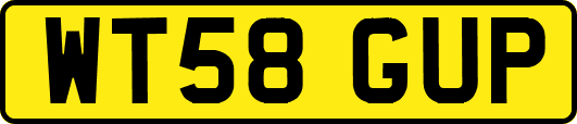 WT58GUP