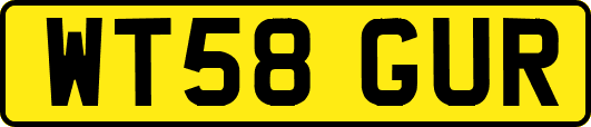 WT58GUR