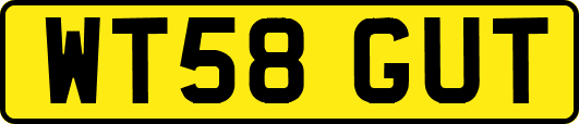 WT58GUT