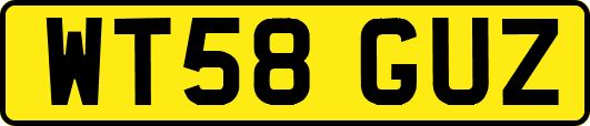 WT58GUZ