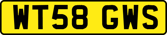WT58GWS
