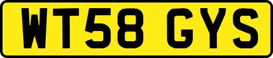 WT58GYS