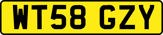 WT58GZY
