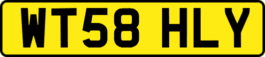 WT58HLY