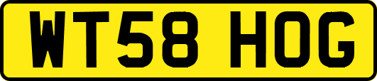 WT58HOG