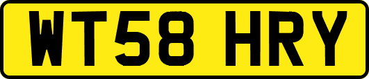 WT58HRY