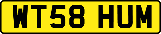 WT58HUM