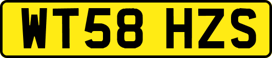 WT58HZS