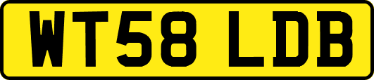 WT58LDB