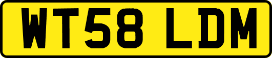 WT58LDM