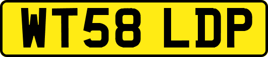 WT58LDP