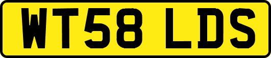 WT58LDS