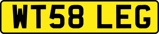 WT58LEG