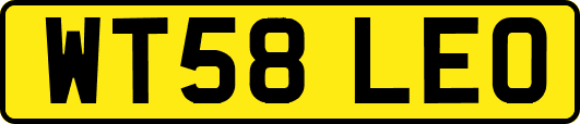WT58LEO