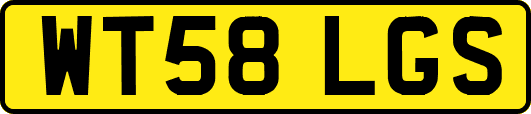 WT58LGS