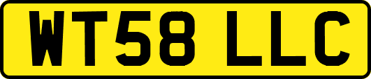 WT58LLC
