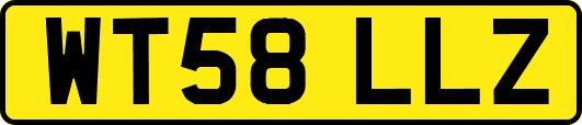 WT58LLZ