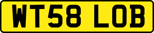 WT58LOB
