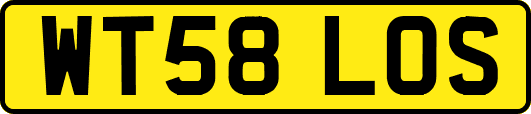 WT58LOS