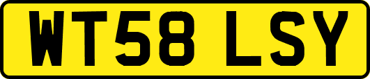 WT58LSY