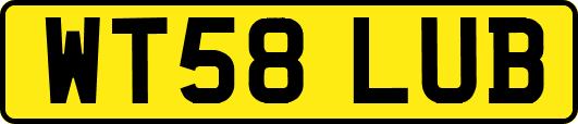 WT58LUB