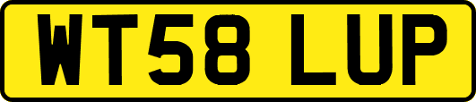 WT58LUP