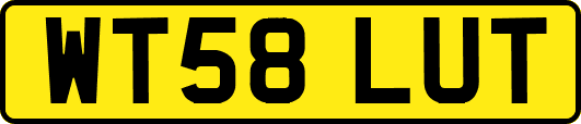 WT58LUT