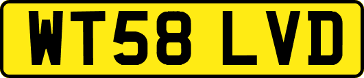 WT58LVD