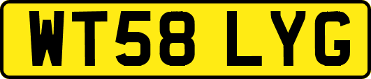WT58LYG