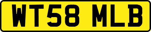 WT58MLB