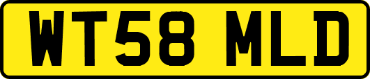 WT58MLD