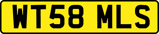WT58MLS