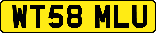 WT58MLU