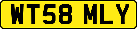 WT58MLY