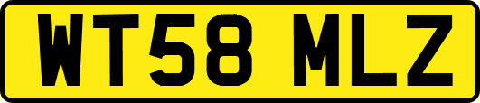 WT58MLZ