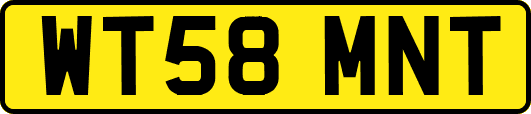 WT58MNT
