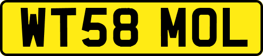 WT58MOL