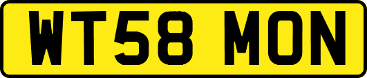 WT58MON