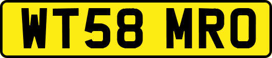 WT58MRO