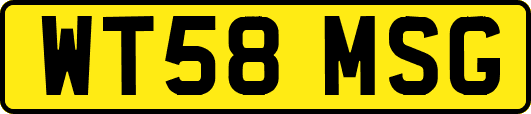 WT58MSG