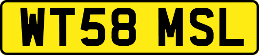 WT58MSL