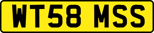 WT58MSS