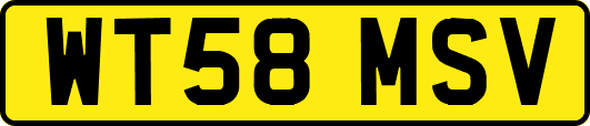 WT58MSV