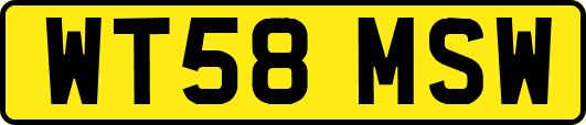 WT58MSW