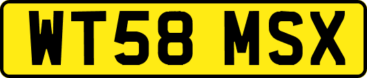 WT58MSX